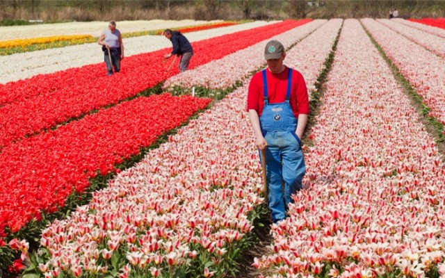 netherlands