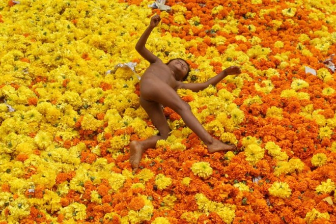 epaselect epa05560444 An Indian toddler plays amid marigold flowers at a wasted flowers dumping site, besides a flower market in Mumbai, India, 28 September 2016. Marigold flowers are used in many religious ceremonies in the temples in India. Strung together they make colourful garlands and are used as an offering in temples and to decorate them. EPA/DIVYAKANT SOLANKI