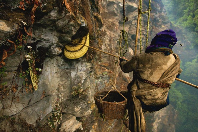 Οι πιο παράξενες δουλειές του κόσμου ΜΕΛΙΣΣΟΚΟΜΟΙ-ΟΡΕΙΒΑΤΕΣ