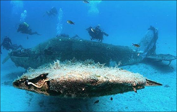 ellinikos_vithos_600_5_214011_605T63