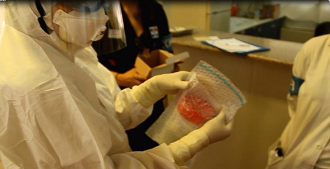 ÍÏÓÏÊÏÌÅÉÏ ÁÌÁËÉÁ ÖËÅÌÉÃÊ ÁÓÊÇÓÇ ÃÉÁ ÅÌÐÏËÁ