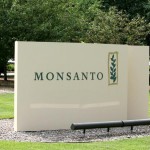 MONSANTO