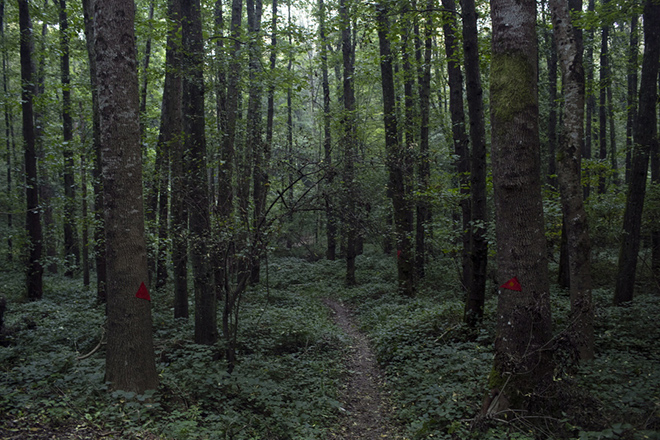 Police extends search in case of missing journalist Khashoggi in Istanbul