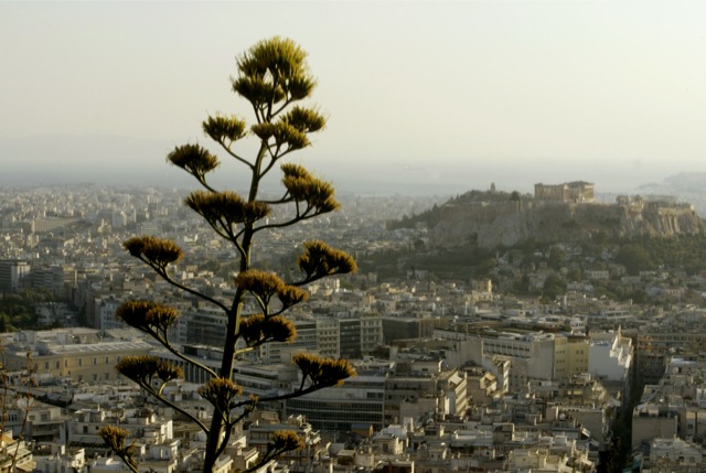 «Αναίμακτη» λύση για τους πλειστηριασμούς αναζητά η κυβέρνηση