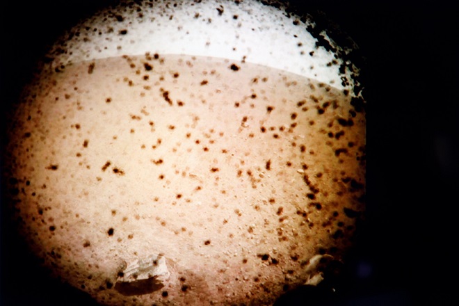Συνεχίζει να τραβά φωτογραφίες του πλανήτη Άρη το InSight της Nasa