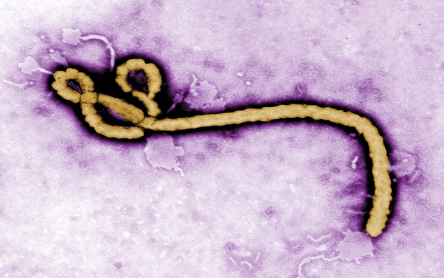«Πυρετός» στον Παγκόσμιο Οργανισμό Υγείας για την εξάπλωση του Έμπολα