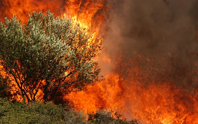 Σε πλήρη εξέλιξη οι πυρκαγιές σε Κοιλιωμένο και Μαχαιράδο στο νησί της Ζακύνθου