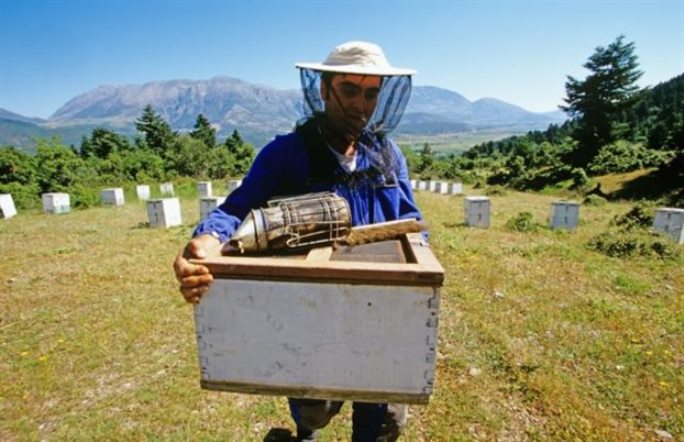 Από τη γη της Καρδίτσας στο  Χονγκ Κονγκ και στη Χαβάη