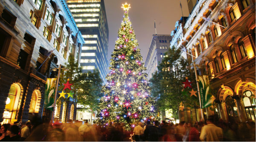 Τα ψηλότερα χριστουγεννιάτικα δέντρα του κόσμου