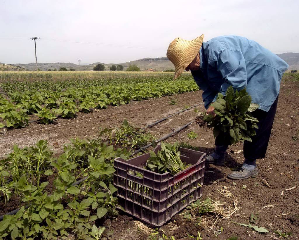 Κομισιόν σε Ελλάδα: Δώστε πίσω τα 327 εκατ. ευρώ για τους αγρότες