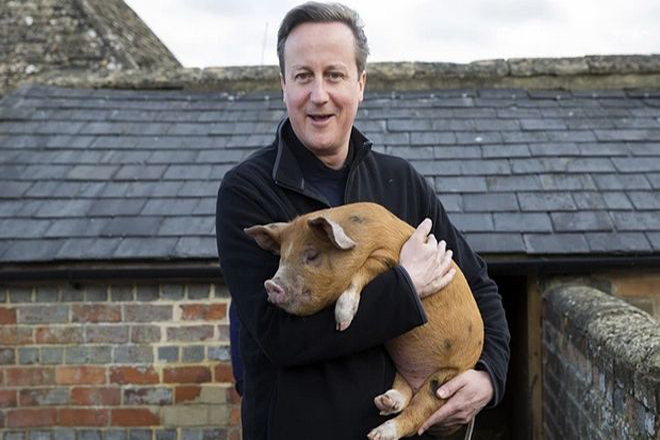 #piggate: O Κάμερον φέρεται να ασέλγησε σε γουρούνι. Χάος στη Βρετανία και στο Twitter