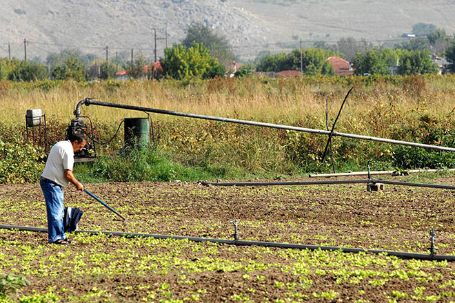 Επιπλέον χρήματα δίνει στους αγρότες η ΕΕ – Πόσα θα πάρει η Ελλάδα