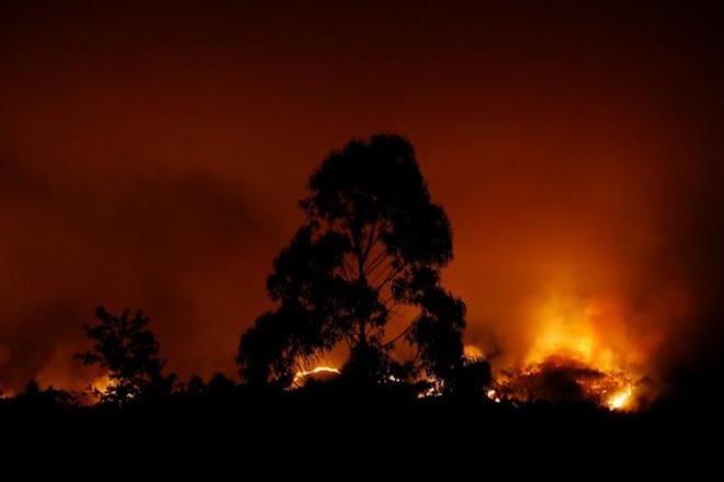 Πύρινη κόλαση σε δασική έκταση στη Πορτογαλία- Στους 62 οι νεκροί