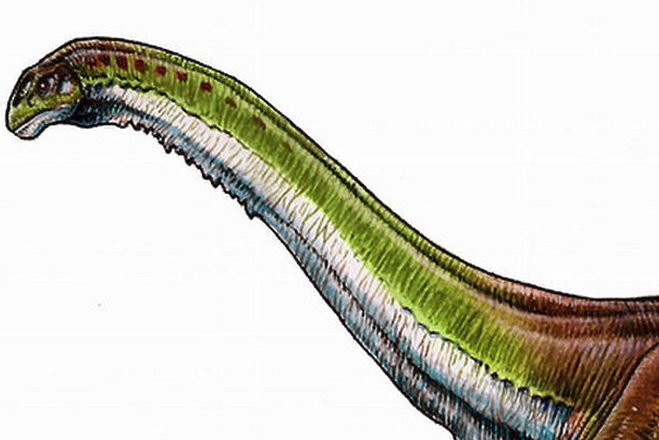 Αυτός είναι ο μεγαλύτερος δεινόσαυρος που υπήρξε στη Γη