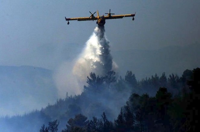 Προς Πολυδένδρι το μέτωπο της πυρκαγιάς στην Ανατολική Αττική