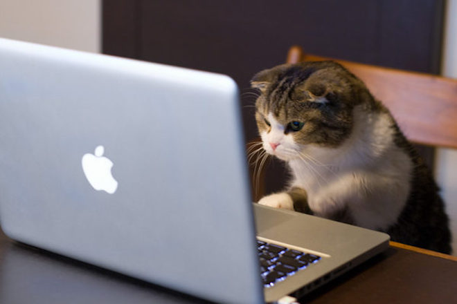 Πώς το Facebook θα συνεχίσει να στέλνει βίντεο με γάτες σε όλο τον κόσμο
