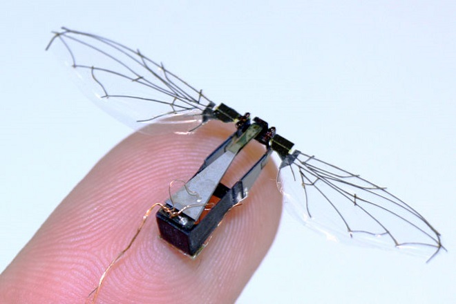 «Στον αέρα» το πρώτο ασύρματο ρομποτικό έντομο