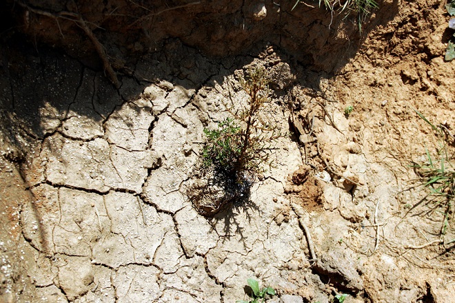 Αντιμέτωπη με την ξηρασία η χώρα – Στοιχεία που τρομάζουν