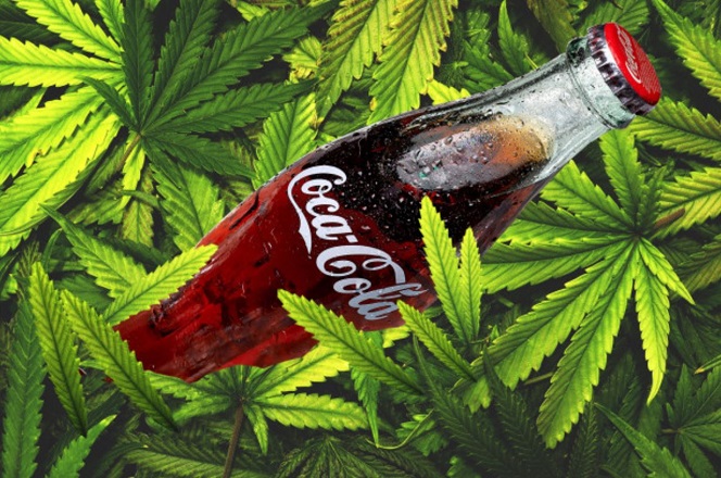 Bloomberg: Η Coca-Cola εξετάζει το ενδεχόμενο παραγωγής ποτών με κάνναβη