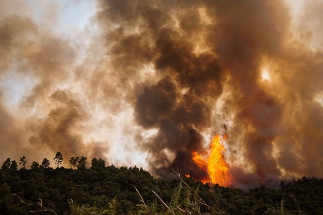 Ανεξέλεγκτη η φωτιά στη Σιθωνία Χαλκιδικής – Προληπτική εκκένωση οικισμού