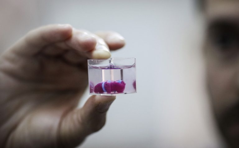 Η πρώτη καρδιά από 3D εκτυπωτή και ανθρώπινο ιστό «τυπώθηκε» στο Ισραήλ