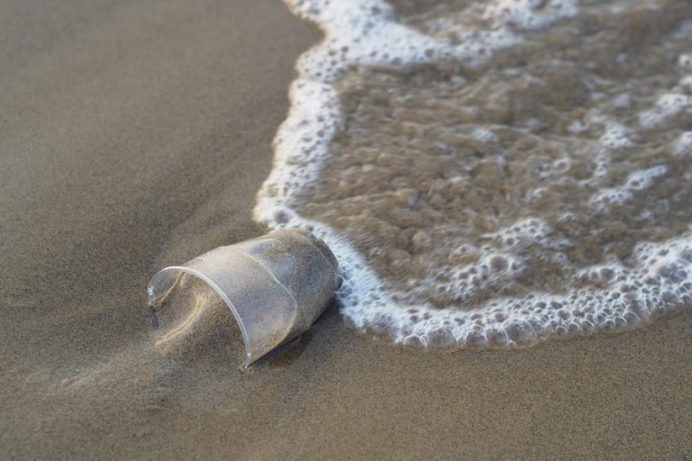 Το 50% των απορριμμάτων των ελληνικών θαλασσών είναι κουτιά αλουμινίου, πλαστικά μπουκάλια και σακούλες