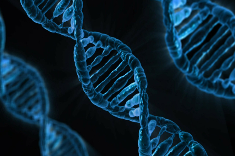 Είναι γεγονός: O πρώτος έμβιος μικροοργανισμός με DNA 100% ανασχεδιασμένο από ανθρώπους