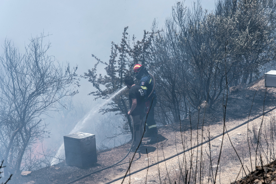 Μάχη με τις φλόγες στην Εύβοια – Αίτημα να κηρυχθούν περιοχές σε κατάσταση έκτακτης ανάγκης