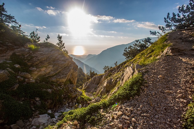 Το αίτημα της WWF Ελλάς για την παθογένεια στη διαχείριση του φυσικού πλούτου της χώρας