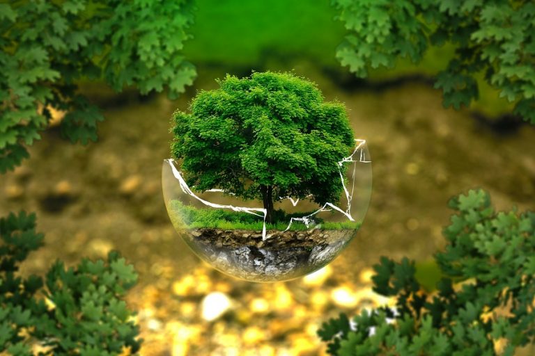 «Go 4.0 Green Crowdhackathon»: Έρχεται ο μαραθώνιος καινοτομίας για το περιβάλλον