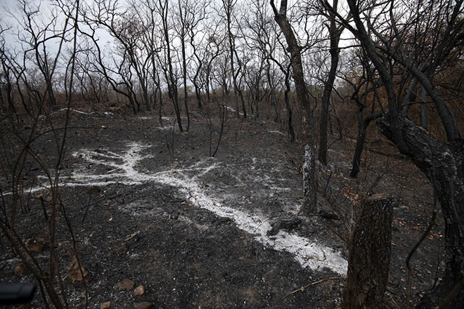 Σύγκλιση συνόδου για τον Αμαζόνιο ζητά ο Γ.Γ. του ΟΗΕ – Συναγερμός για το λιώσιμο των παγετώνων