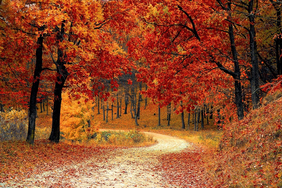 Την Τρίτη ξεκινά και επίσημα το φθινόπωρο με τη φθινοπωρινή ισημερία |  Fortunegreece.com
