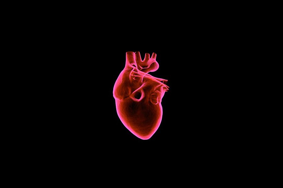 Σύστημα τεχνητής νοημοσύνης για διάγνωση της υπετροφίας καρδιάς αναπτύχθηκε στο «Ιπποκράτειο»