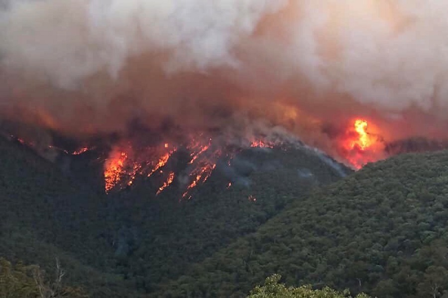 Αυστραλία: Υπό έλεγχο η μεγαλύτερη πυρκαγιά που μαίνεται στη χώρα – «Βουτιά» στη δημοτικότητα του πρωθυπουργού