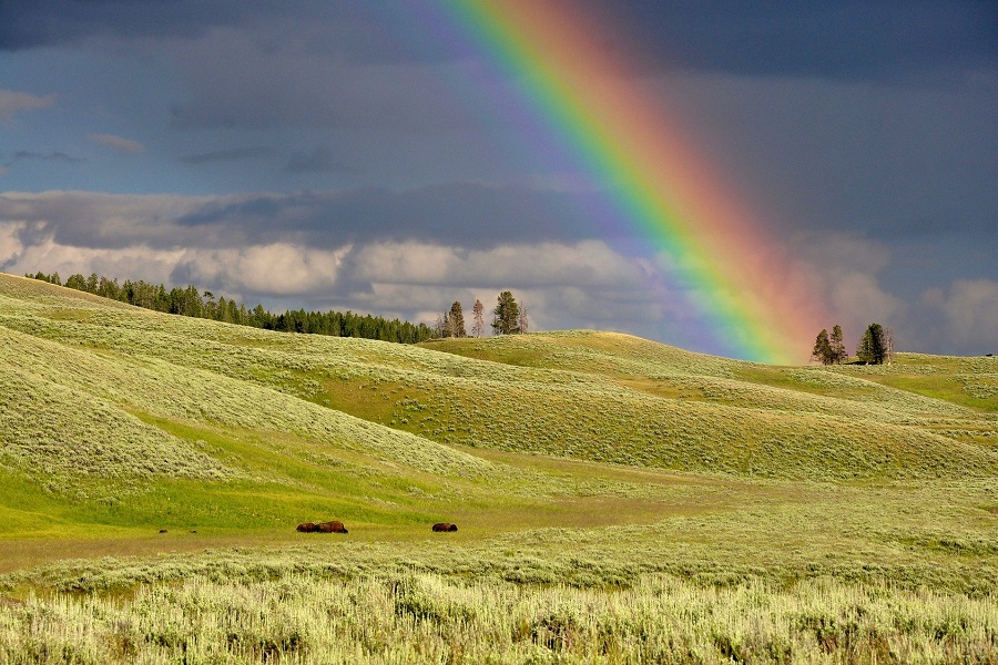 Το σπάνιο oριζόντιο ουράνιο τόξο «fire rainbow» που έγινε viral