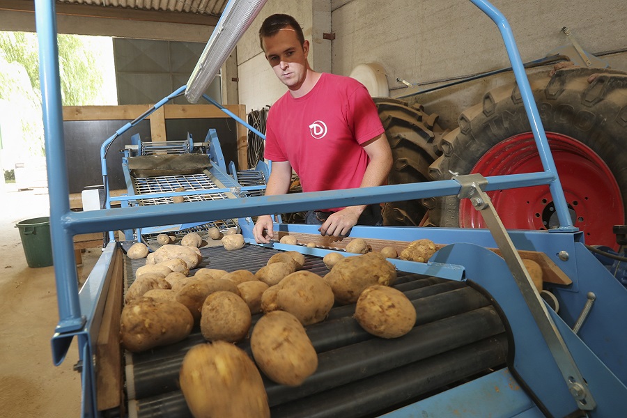 Οι αγρότες λένε στους Βέλγους να τρώνε περισσότερες πατάτες και ο λόγος είναι σοβαρός
