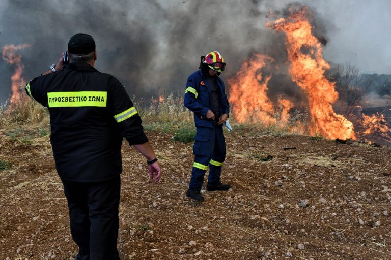 Υπό έλεγχο η πυρκαγιά σε δασική έκταση στη Βουρβουρού Χαλκιδικής