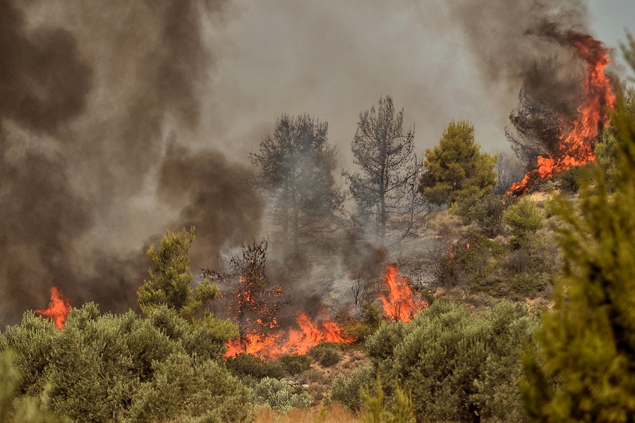 Μήνυμα του 112 για εκκένωση οικισμών σε Ηλεία, Εύβοια και Φωκίδα