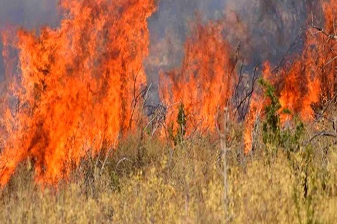 Πυρκαγιά στο Λαύριο- Ισχυρές δυνάμεις της Πυροσβεστικής στο σημείο