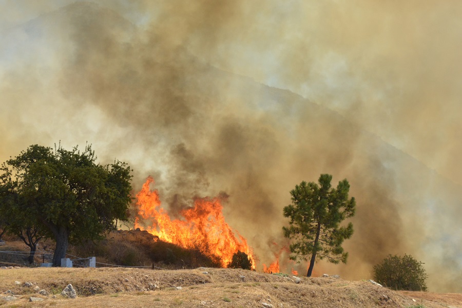 Στο «κόκκινο» την Κυριακή πέντε περιφέρειες της χώρας για τον κίνδυνο πυρκαγιάς