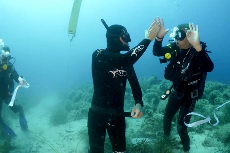 Το εντυπωσιακό βίντεο-αφιέρωμα της Deutsche Welle στο υποβρύχιο μουσείο της Αλοννήσου