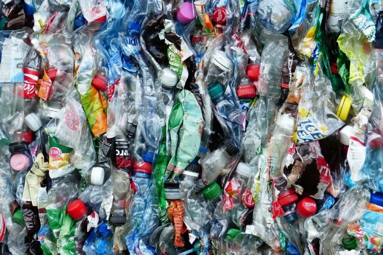 «Pac-man» που τρώει πλαστικά: Ένα κοκτέιλ ενζύμων θα μπορούσε να φέρει την επανάσταση στην ανακύκλωση