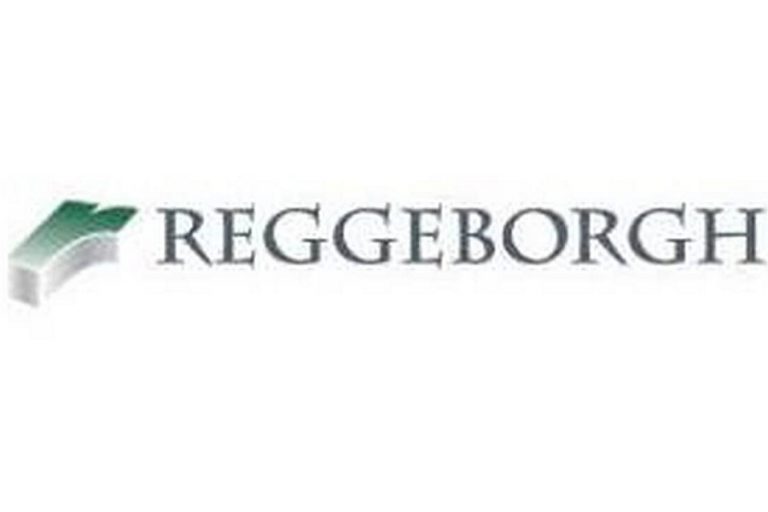 Reggeborgh: Πουλάμε το σύνολο της συμμετοχής στη ΓΕΚ Τέρνα