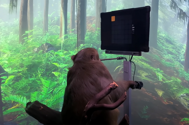 Εταιρεία του Έλον Μασκ έκανε… μαϊμού να παίζει βιντεοπαιχνίδι με το μυαλό της