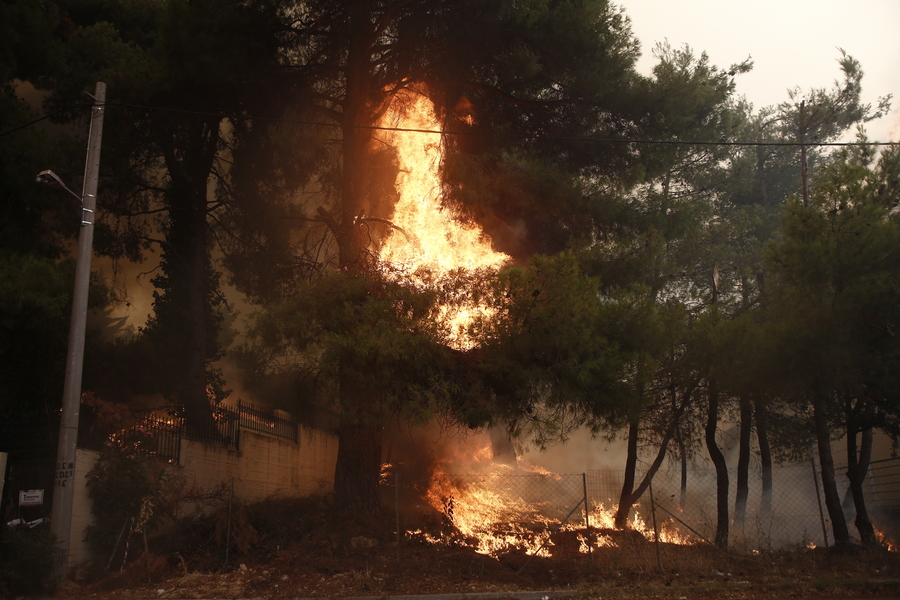 Ποινική δίωξη σε 64χρονο μελισσοκόμο για τη μεγάλη φωτιά στη Σταμάτα   