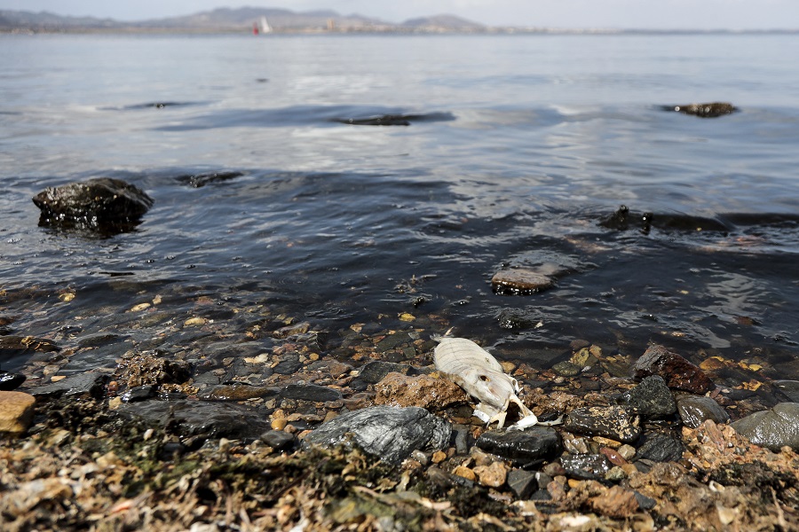 Πετρελαιοκηλίδα από τη Συρία απειλεί την Κύπρο