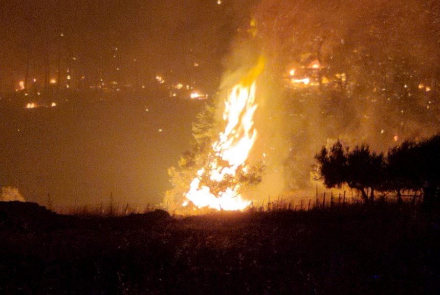 Σπάρτη: Μάχη με τις φλόγες για να μην μπει η φωτιά στο Γύθειο