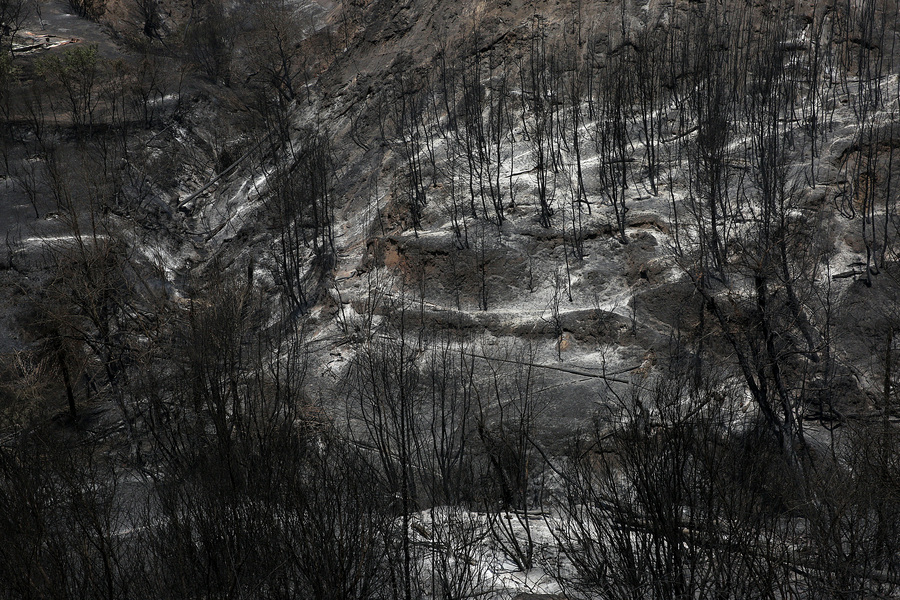 Εκτιμήσεις για 150.000 καμμένα στρέμματα στην Εύβοια, και η φωτιά συνεχίζει