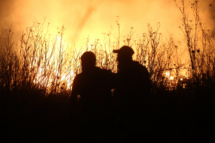 Ιταλία: Η ευρωπαϊκή χώρα με τις μεγαλύτερες καταστροφές από τις δασικές πυρκαγιές το 2021