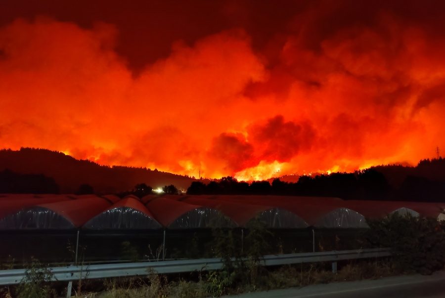 Φωτιές: Πώς μπορώ να βοηθήσω τους πυρόπληκτους;